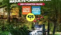 Sapanca Ormanya Maşukiye Turu